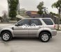 Ford Escape 2009 - Cần bán gấp Ford Escape 2.3L sản xuất năm 2009, màu bạc còn mới