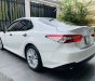 Toyota Camry 2019 - Bán Toyota Camry năm sản xuất 2019, màu trắng, nhập khẩu