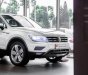 Volkswagen Tiguan 2020 - Bán Volkswagen Tiguan Elegance sản xuất 2020, màu trắng, nhập khẩu