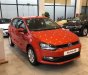 Volkswagen Polo 2021 - Cần bán xe Volkswagen Polo 1.6AT năm sản xuất 2021, nhập khẩu nguyên chiếc