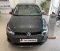 Volkswagen Polo 2022 - Bán Volkswagen Polo 1.6 năm 2022, màu xám, nhập khẩu nguyên chiếc