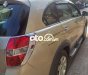 Chevrolet Captiva 2008 - Bán Chevrolet Captiva năm sản xuất 2008, màu vàng chính chủ