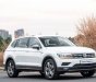 Volkswagen Tiguan 2020 - Bán Volkswagen Tiguan Elegance sản xuất 2020, màu trắng, nhập khẩu