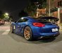 Porsche Cayman 2016 - Bán Porsche Cayman S Coupe năm 2016, màu xanh lam, nhập khẩu