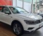 Volkswagen Tiguan 2020 - Bán ô tô Volkswagen Tiguan năm sản xuất 2020, màu trắng, nhập khẩu