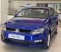 Volkswagen Polo 2022 - Volkswagen Polo 1.6 Hatchback 2022 - Miễn phí lệ phí trước bạ- LH Hotline KD: 093 2168 093