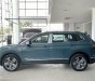 Volkswagen Tiguan 2022 - Volkswagen Tiguan 2022, màu xám tặng BHVC