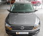 Volkswagen Tiguan 2022 - Bán xe Volkswagen Tiguan Elegance 2021 Màu xám Platinum, tặng ngay 100% phí trước bạ