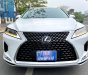 Lexus RX350 2020 - Bán Lexus RX350 2020 đẹp nhất Việt Nam