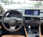 Lexus RX350 2020 - Bán Lexus RX350 2020 đẹp nhất Việt Nam