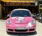 Volkswagen Beetle 2009 - Bán Volkswagen Beetle sản xuất năm 2009, màu hồng, xe nhập, 539 triệu