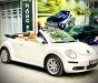 Volkswagen Beetle 2006 - Đăng ký 2006 ít sử dụng giá tốt 468tr