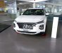 Hyundai Santa Fe 2021 - Màu trắng
