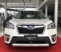 Subaru Forester 2020 - Subaru Đồng Nai - Chỉ 969 triệu sở hữu xe ngay - Ưu đãi khủng trong tháng 3