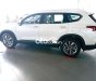 Hyundai Santa Fe 2021 - Màu trắng