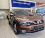 Volkswagen Tiguan 2017 - Màu nâu, xe nhập