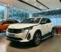 Peugeot 3008 2022 - Hỗ trợ 50% thuế trước bạ