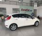 Ford Fiesta 2013 - Màu trắng