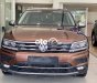 Volkswagen Tiguan 2017 - Màu nâu, xe nhập