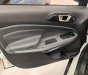 Ford EcoSport 2017 - Màu trắng