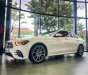 Mercedes-Benz E300 2022 - Ưu đãi thuế trước bạ, lợi vài trăm triệu