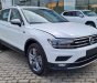 Volkswagen Tiguan 2021 - Ưu đãi hấp dẫn, lên đến 100tr