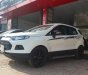 Ford EcoSport 2016 - Cửa nóc