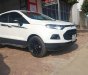 Ford EcoSport 2016 - Cửa nóc