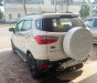 Ford EcoSport 2016 - Cửa nóc
