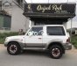 Hyundai Galloper 2002 - Hai màu giá ưu đãi