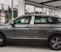 Volkswagen Tiguan 2021 - SUV 7 chỗ thương hiệu Đức