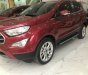 Ford EcoSport 2018 - Bán xe chính chủ giá tốt