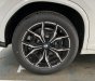 BMW X4 2021 - Nâng tầm sự hoàn hảo