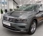 Volkswagen Tiguan 2021 - SUV 7 chỗ thương hiệu Đức