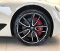 Bentley Continental 2021 - [Chính hãng] phiên bản Legendary độc nhất