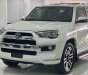 Toyota 4 Runner 2015 - Biển tỉnh, tên tư nhân