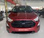 Ford EcoSport 2019 - Xe cực đẹp