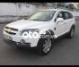 Chevrolet Captiva 2010 - Màu trắng