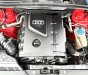Audi A4 2009 - Nhập Đức, màu đỏ zin loại Slier full đồ