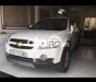 Chevrolet Captiva 2010 - Màu trắng