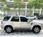 Ford Escape 2008 - Xe cực chất