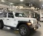 Jeep Wrangler 2020 - Xe lướt, đk 2021 Tp. HCM giá em 3 tỷ 339tr còn bảo hành hãng, odo 6800 km