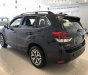 Subaru Forester 2022 - Giảm thêm 10 triệu, xe nhập khẩu, bảo hành 5 năm, sẵn xe giao ngay