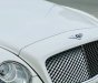 Bentley Continental 2009 - Màu trắng, nội thất nâu da bò