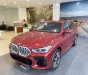 BMW X6 2022 - "Siêu phẩm" của làng ô tô mang phong cách hiện đại và sang trọng