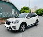 Subaru Forester 2019 - Nhập Thái một chủ từ đầu