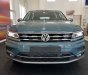 Volkswagen Tiguan 2022 - Hỗ trợ gần 50% phí trước bạ