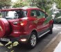 Ford EcoSport 2016 - Một chủ mua mới từ đầu