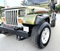 Jeep Wrangler 1996 - Nhập Mỹ, số sàn 2 cầu hàng hiếm. Xe giấy tờ zin, có máy lạnh, bao không hao xăng, chạy 100km/10 lít