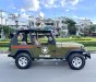 Jeep Wrangler 1996 - Nhập Mỹ, số sàn 2 cầu hàng hiếm. Xe giấy tờ zin, có máy lạnh, bao không hao xăng, chạy 100km/10 lít